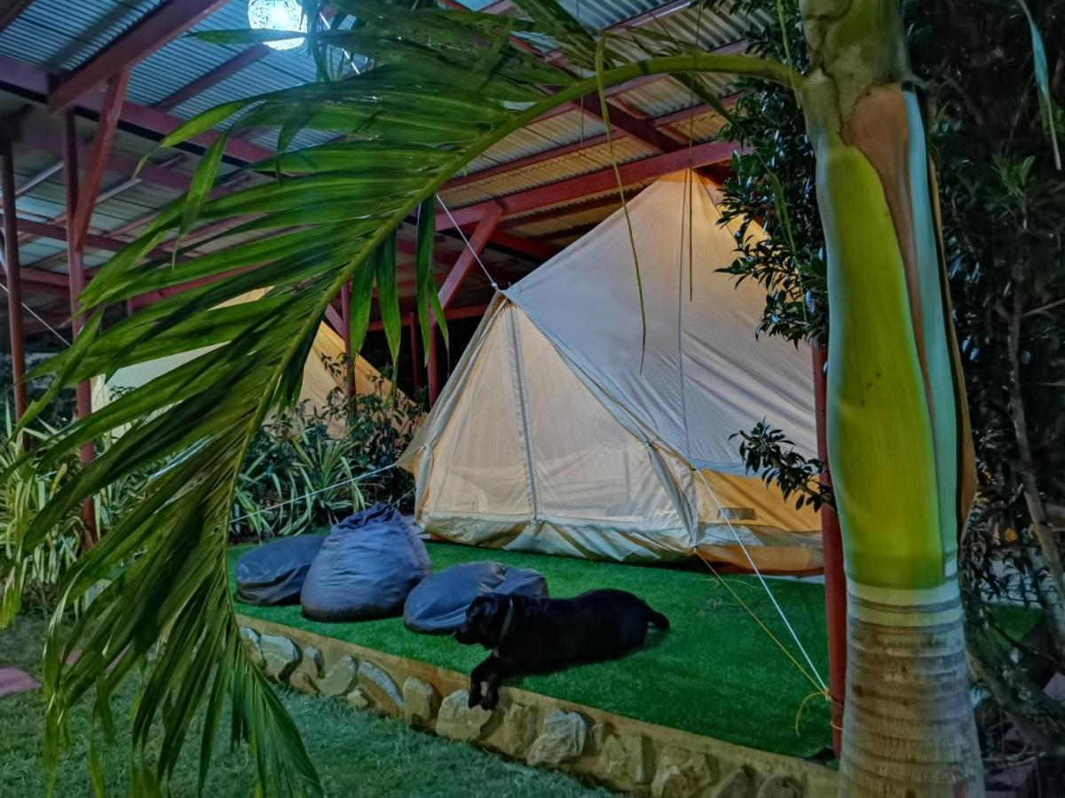 Glamping Alona Apartment Panglao Bagian luar foto